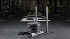 Deals 🌟 Rogue Echo 🐕 Dog Sled 🎉