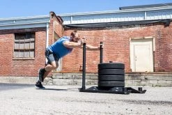 Deals 🌟 Rogue Echo 🐕 Dog Sled 🎉 -Deals Equipment Store ECHODOGSLED WEB2 g42rzv