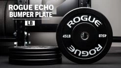 Top 10 ๐ Rogue Echo Bumper Plates V2 ๐ฅ