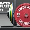 Coupon 😀 Rogue Calibrated KG Steel Plates 🎁 -Deals Equipment Store IP0519 h lr2zpq