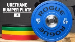 Deals Equipment Store 22 Best deal ๐ Rogue Urethane Plates ๐