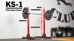 Discount 🤩 Rogue KS-1 Kids Squat Stand ✔️