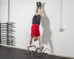 Buy 😉 Rogue Formed Parallette Set 🔥 -Deals Equipment Store RA1052 WEB2 ukewav