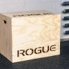 Discount โญ Rogue Flat Pack Games Box ๐ 2 Discount โญ Rogue Flat Pack Games Box ๐ -Deals Equipment Store RF0253 H uwktkc
