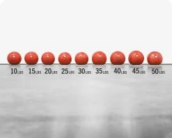 Best deal ๐ Rogue Echo Slam Balls ๐ฅ 7 Best deal ๐ Rogue Echo Slam Balls ๐ฅ -Deals Equipment Store XX13219 web2 vsjsnm