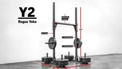 Outlet 😍 Y-2 Rogue Yoke ❤️